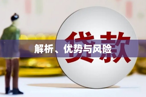 莎车解析、优势与风险