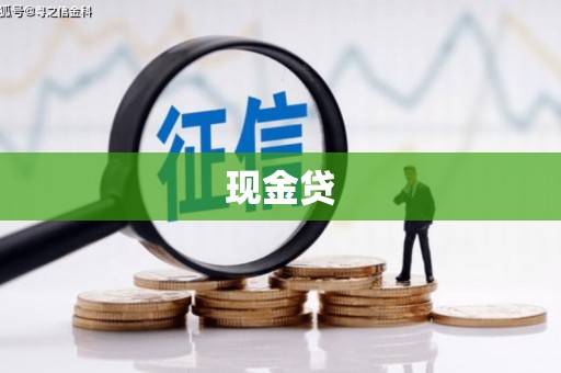 莎车现金贷