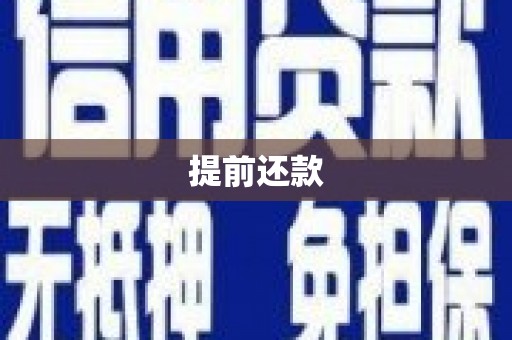 莎车提前还款