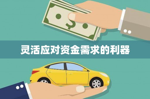 莎车灵活应对资金需求的利器