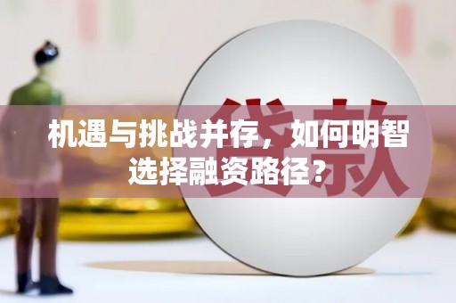 莎车机遇与挑战并存，如何明智选择融资路径？
