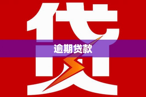 莎车逾期贷款