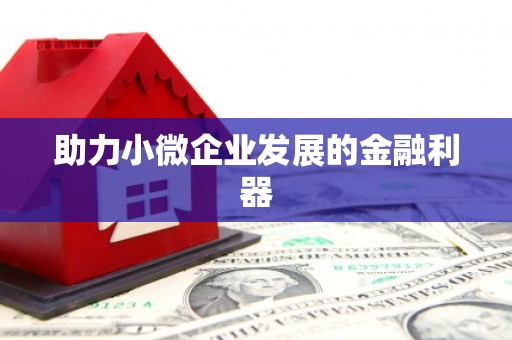莎车助力小微企业发展的金融利器