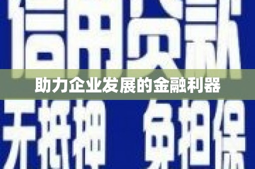 莎车助力企业发展的金融利器