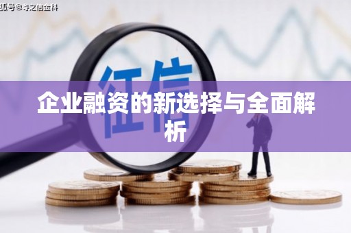 莎车企业融资的新选择与全面解析