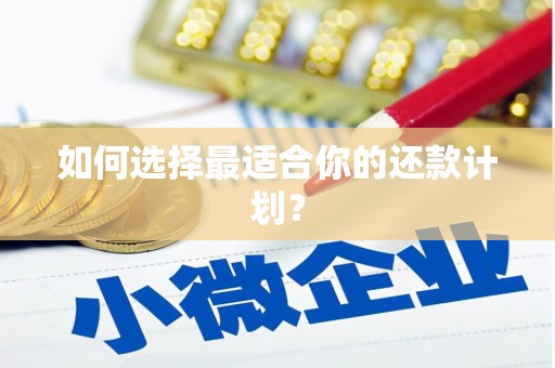 莎车如何选择最适合你的还款计划？