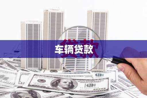 莎车车辆贷款