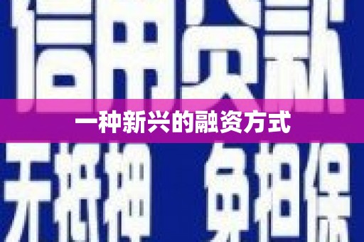 莎车一种新兴的融资方式
