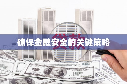 莎车确保金融安全的关键策略