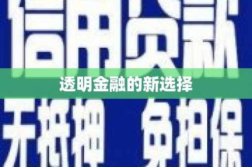 莎车透明金融的新选择