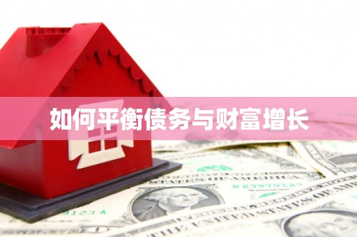 莎车如何平衡债务与财富增长