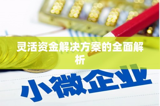 莎车灵活资金解决方案的全面解析