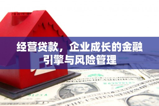 莎车经营贷款，企业成长的金融引擎与风险管理