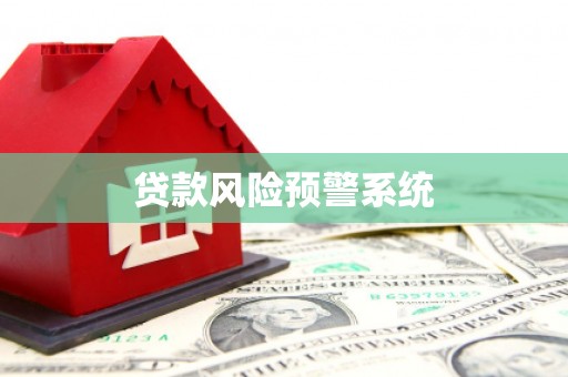 莎车贷款风险预警系统