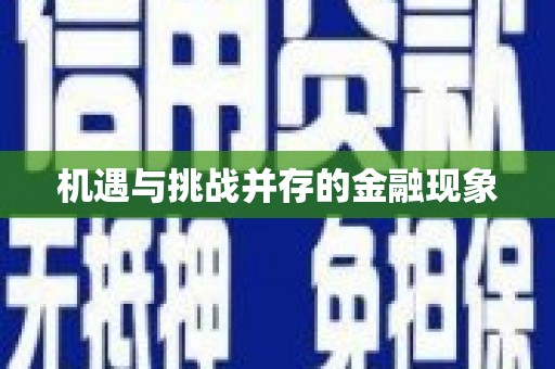 莎车机遇与挑战并存的金融现象