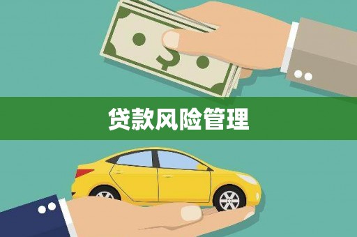 莎车贷款风险管理
