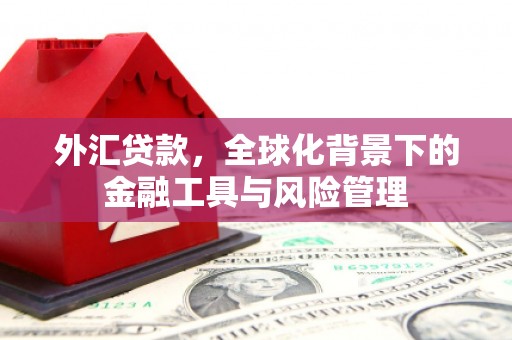莎车外汇贷款，全球化背景下的金融工具与风险管理