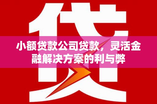 莎车小额贷款公司贷款，灵活金融解决方案的利与弊