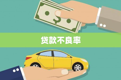 莎车贷款不良率