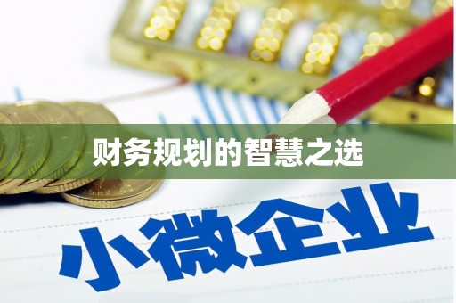 莎车财务规划的智慧之选