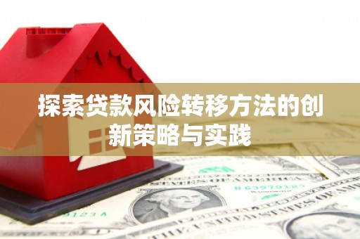 莎车探索贷款风险转移方法的创新策略与实践