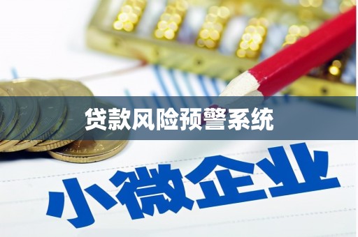 莎车贷款风险预警系统