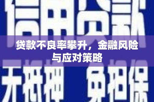 莎车贷款不良率攀升，金融风险与应对策略