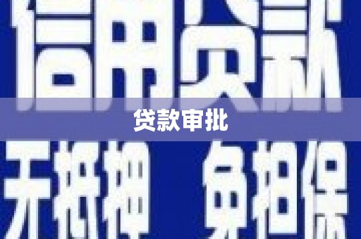 莎车贷款审批
