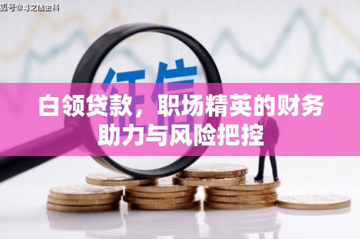 莎车白领贷款，职场精英的财务助力与风险把控
