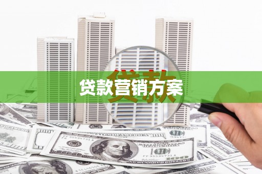莎车贷款营销方案